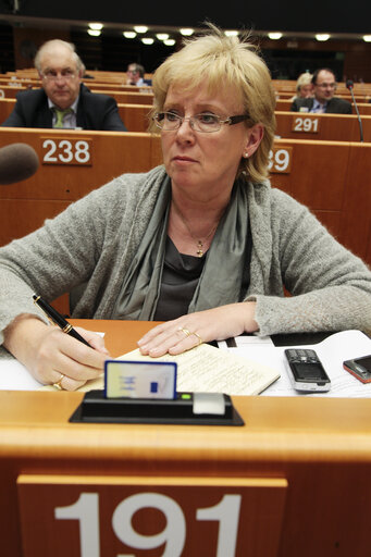 Lena EK  at the EP in Brussels.