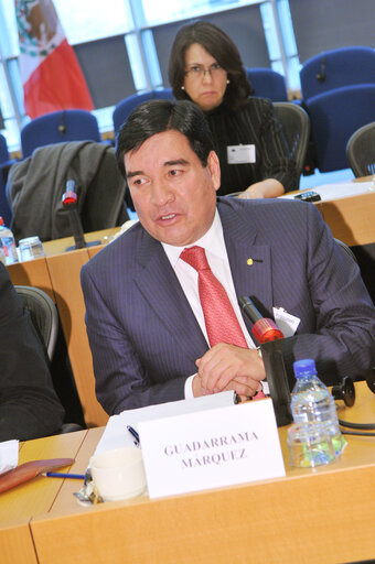 Foto 16: Joint parliamentary committee meeting EU - Mexico.