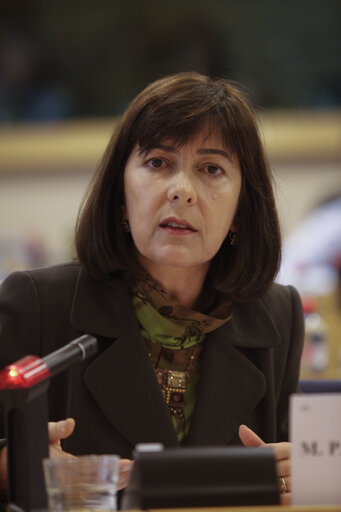 Fotografija 1: Maria do Ceu PATRAO NEVES in a meeting at the EP in Brussels.