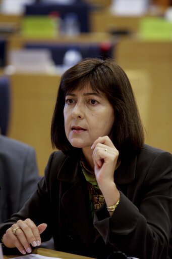 Suriet 5: Maria do Ceu PATRAO NEVES in a meeting at the EP in Brussels.