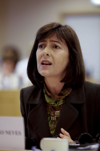 Fotografija 4: Maria do Ceu PATRAO NEVES in a meeting at the EP in Brussels.