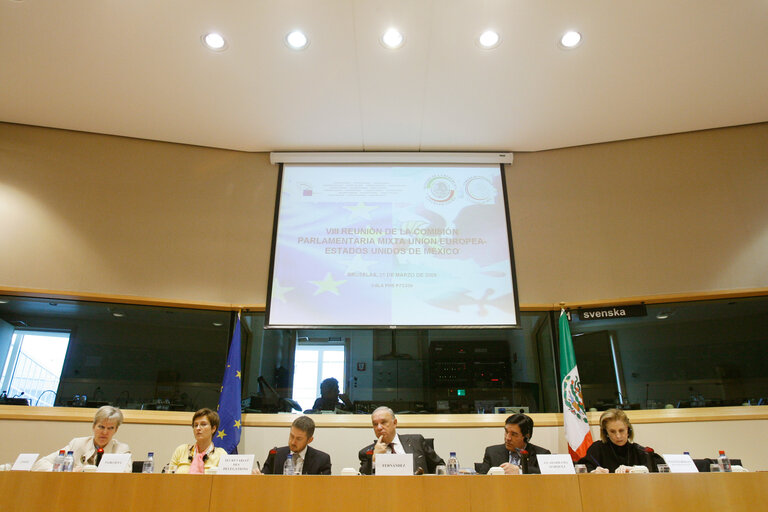 Foto 9: Joint parliamentary committee meeting EU - Mexico.