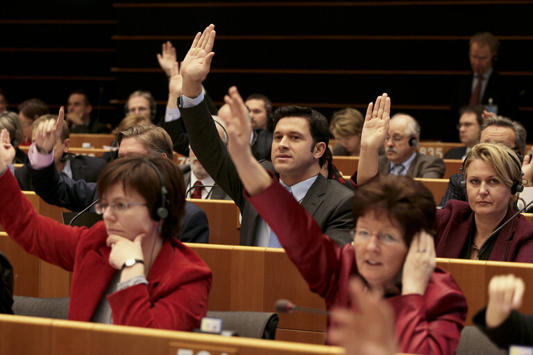 Valokuva 7: Petru Constantin LUHAN at the EP in Brussels.