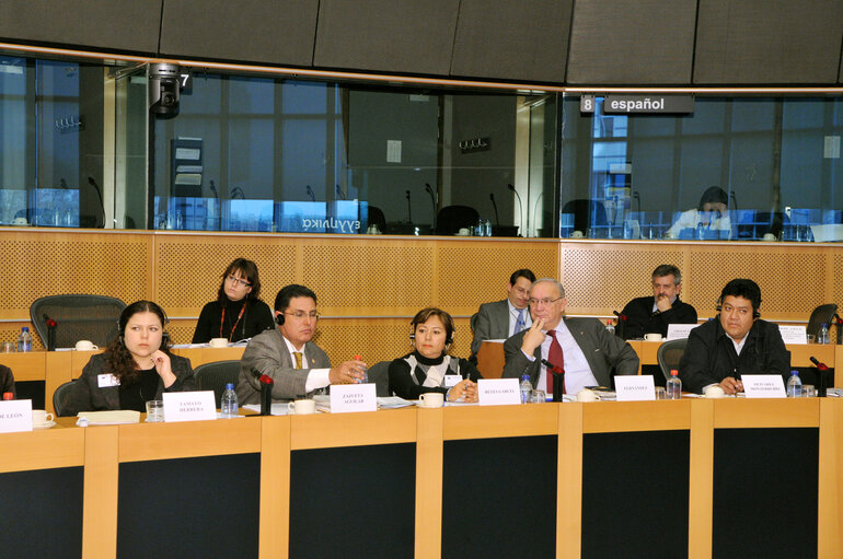 Foto 17: Joint parliamentary committee meeting EU - Mexico.