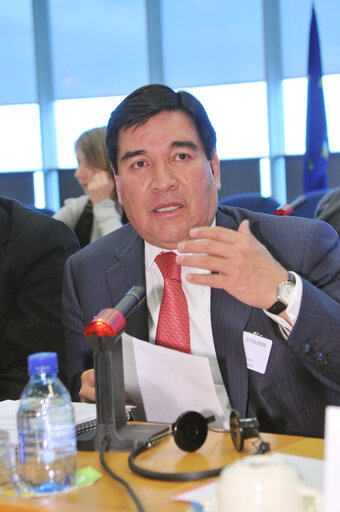 Foto 15: Joint parliamentary committee meeting EU - Mexico.