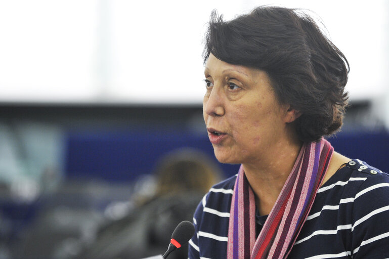 Plenary Session in Strasbourg - Week 7 - 2012