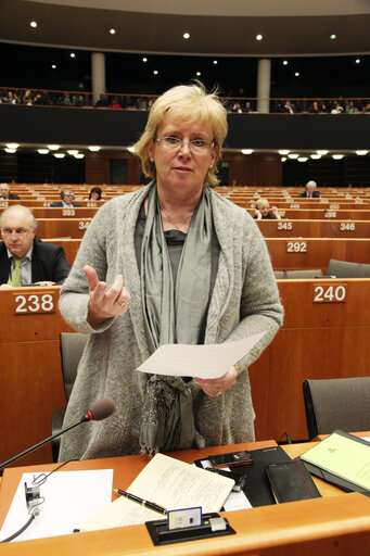 Fotografija 1: Lena EK  at the EP in Brussels.