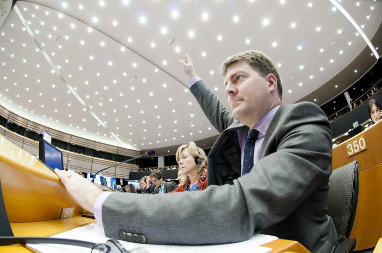 Plenary Session in Brussels - Week 5 - 2012