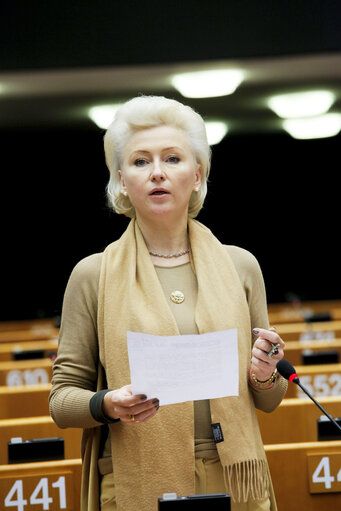 Plenary Session in Brussels - Week 5 - 2012