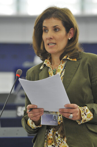 Plenary Session in Strasbourg - Week 7 - 2012