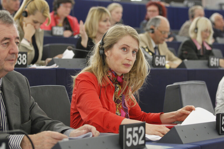 Plenary Session Week 19           Meps in Strasbourg Hemicycle