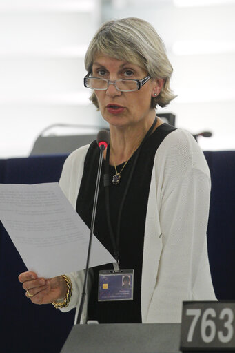 Plenary Session Week 19           Meps in Strasbourg Hemicycle