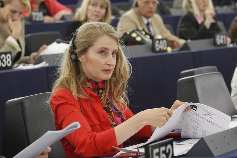 Plenary Session Week 19           Meps in Strasbourg Hemicycle