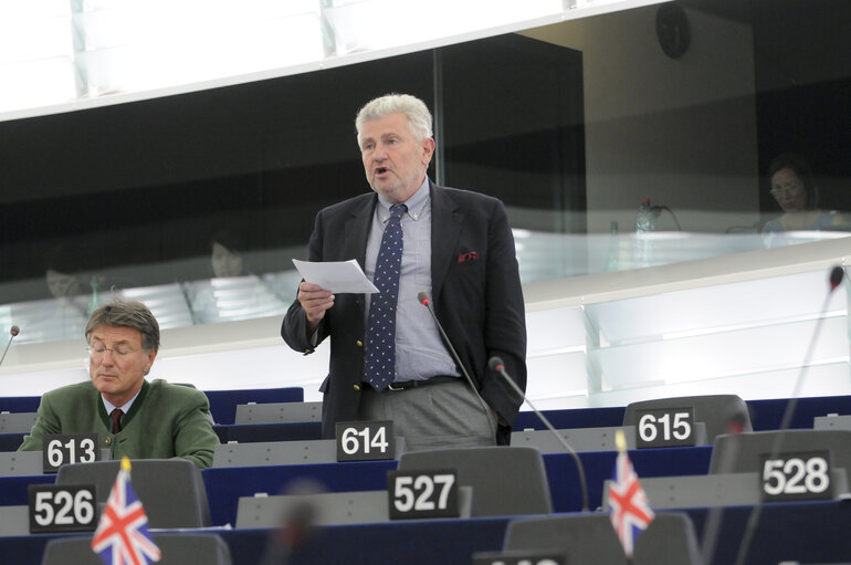 Photo 19 : MEP's in Strasbourg Hemicycle - week 19