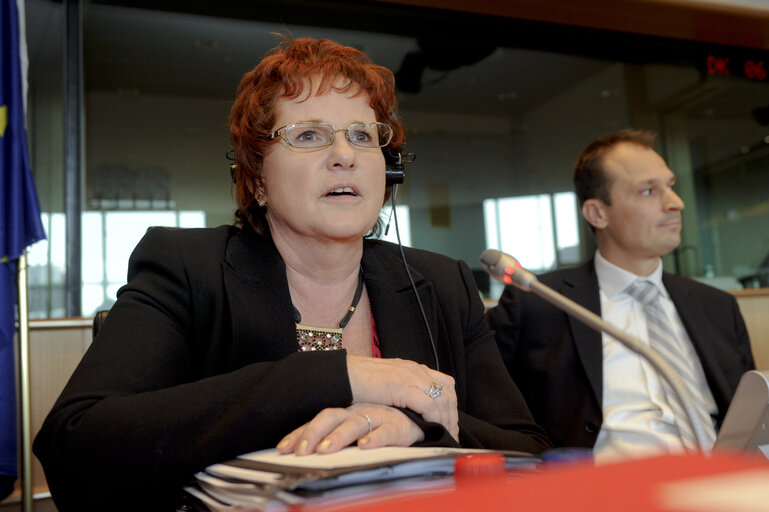 Foto 6: ECON Committee: Economic Governance