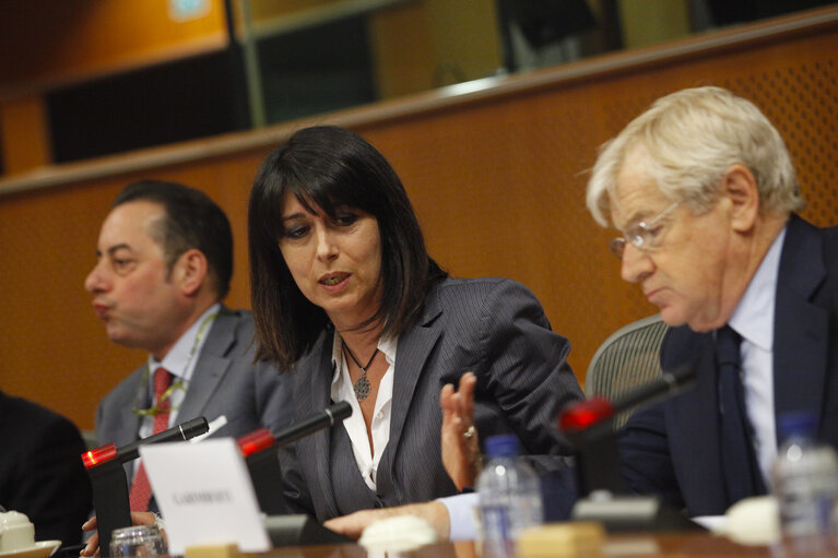 Foto 4: Meeting with RAI President