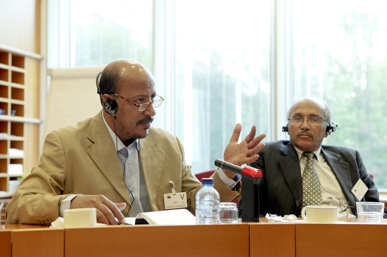 Foto 3: MEP Pier Antonio PANZERI meets with a delegation of of the National Assembly of Mauritania