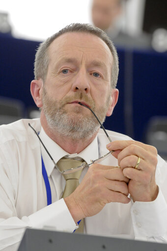 Fotografie 6: MEP's in Strasbourg Hemicycle - week 19