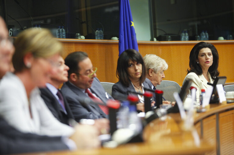 Photo 3 : Inauguration of the Cooperation between RAI and EuroparlTV