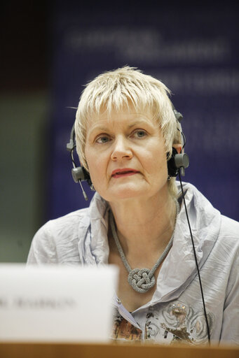 Fotografie 18: Debate European Parliament and Volunteering