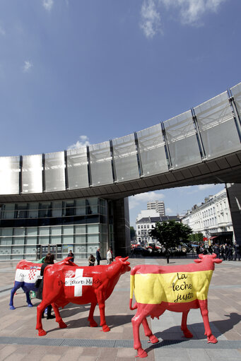 Fotografi 8: Milk producers of the European Milk Board protest in front of the European Parliament to draw attention to the pressing problems of the milk market.