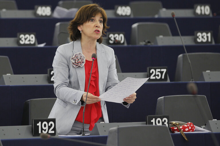 Plenary Session Week 19           Meps in Strasbourg Hemicycle