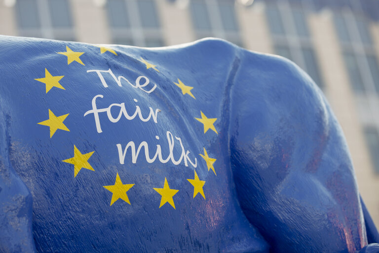 Fotografi 20: Milk producers of the European Milk Board protest in front of the European Parliament to draw attention to the pressing problems of the milk market.