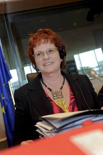 Foto 7: ECON Committee: Economic Governance