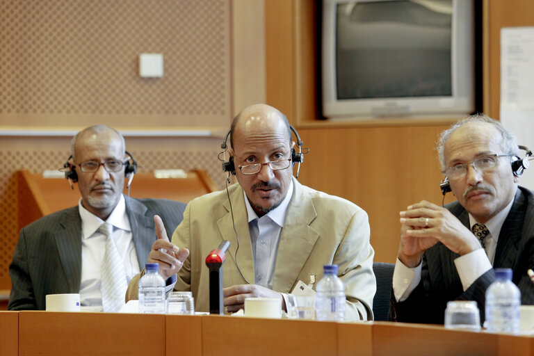 Foto 2: MEP Pier Antonio PANZERI meets with a delegation of of the National Assembly of Mauritania