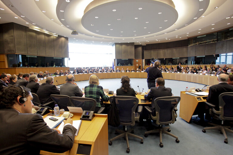Foto 3: Official opening of the Conciliation Committee for the 2011 Budget