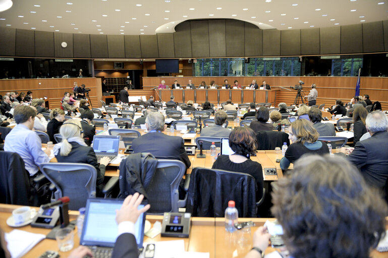 Nuotrauka 17: LIBE Commission - Public hearing - Data protection in a transatlantic perspective