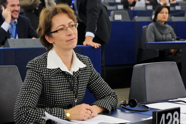 Foto 41: Portrait in Plenary in Strasbourg