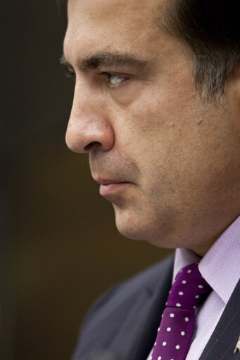 Valokuva 3: AFET Committee - Exchange of views with Mikheil Saakashvili, President of Georgia, during a meeting at the European Parliament in Strasbourg