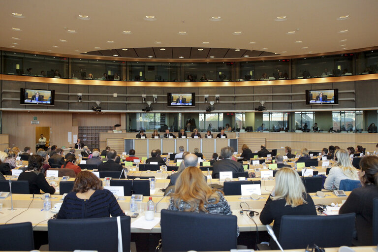 Photo 12: Public Hearing on Cinema and European Identities