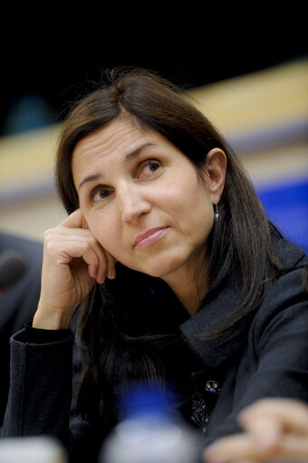 STOA Conference Making Perfect Life: Bio-engineering in the 21st Century.