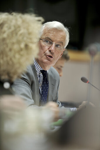 Foto 7: Interparliamentary Committee Meeting on The Internal Market for Professionals: How to Make it Work?.