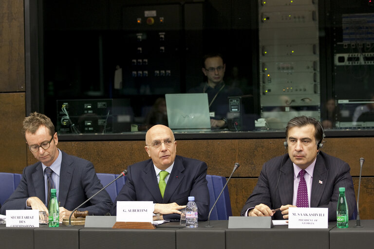 Fotografija 13: AFET Committee - Exchange of views with Mikheil Saakashvili, President of Georgia, during a meeting at the European Parliament in Strasbourg