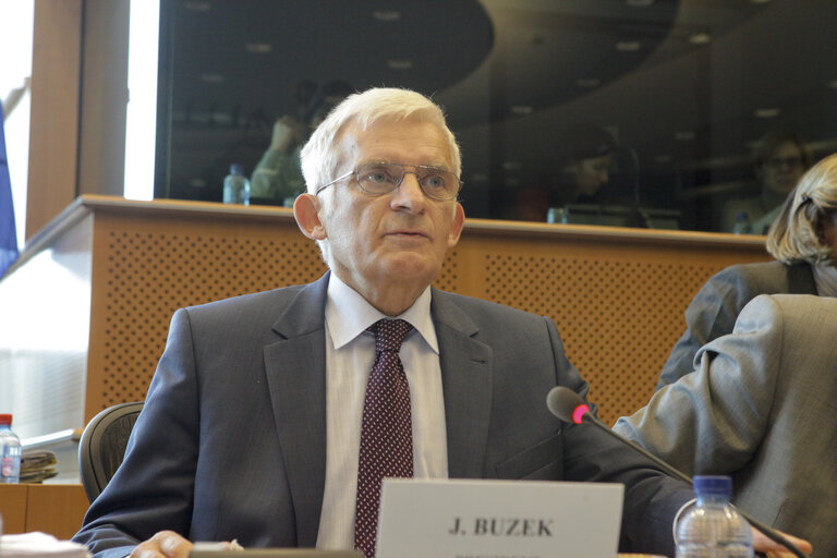 Foto 8: Official opening of the Conciliation Committee for the 2011 Budget