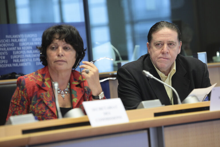 ENVI Committee workshop on the Influenza Pandemic A (H1N1) - the response of Member States and the European Union