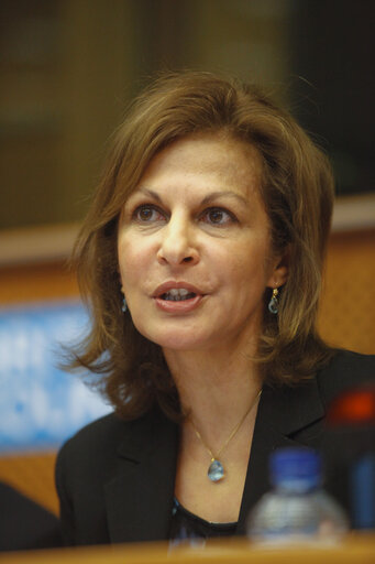 Stefan Olsson - OSE debate European Muslims Model Citizens or Forever Foreign?