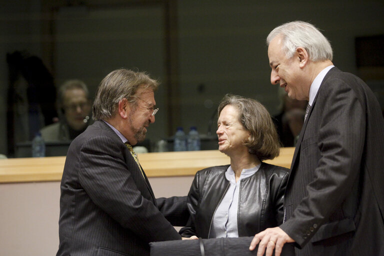 Fotografie 10: Joint Parliamentary Meeting : Beyond the crisis - How should Europe respond to the challenges ahead ? - Working group : What kind of Economic Governance ?