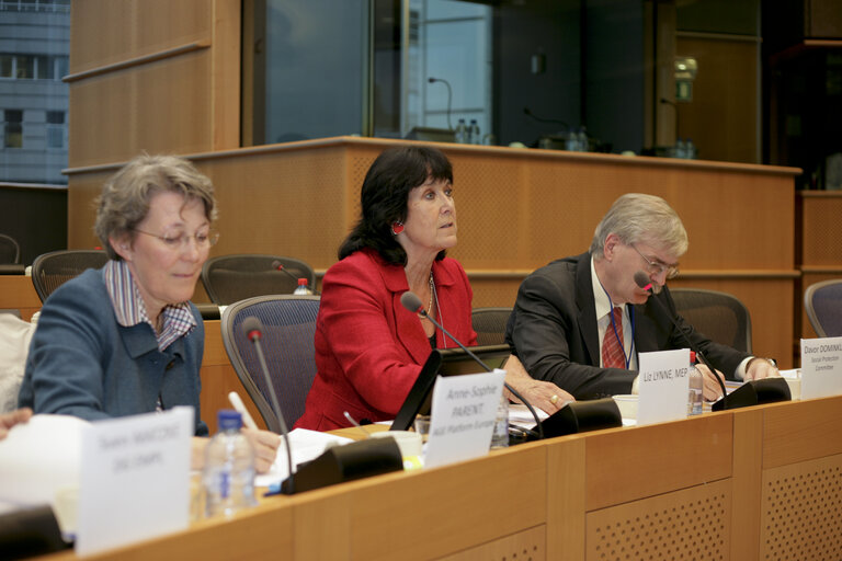 Foto 5: Age Platform Europe, EUSTACEA Project final conference