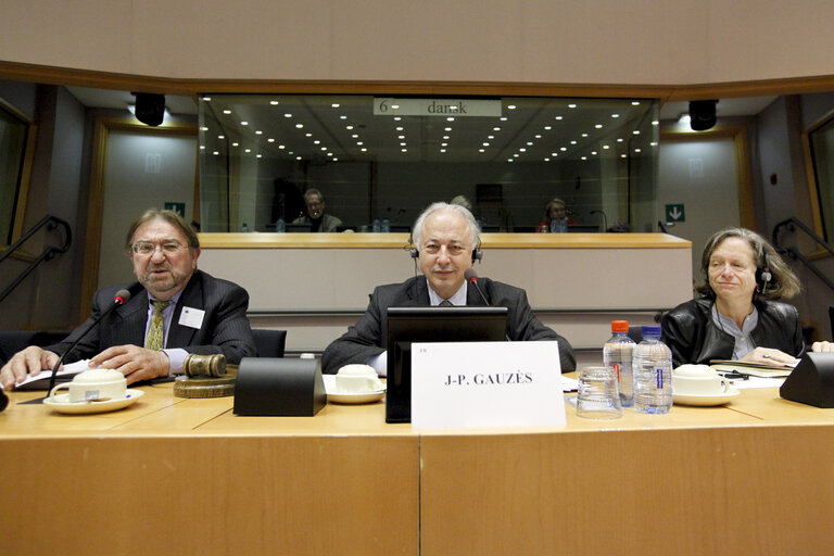 Fotografie 8: Joint Parliamentary Meeting : Beyond the crisis - How should Europe respond to the challenges ahead ? - Working group : What kind of Economic Governance ?