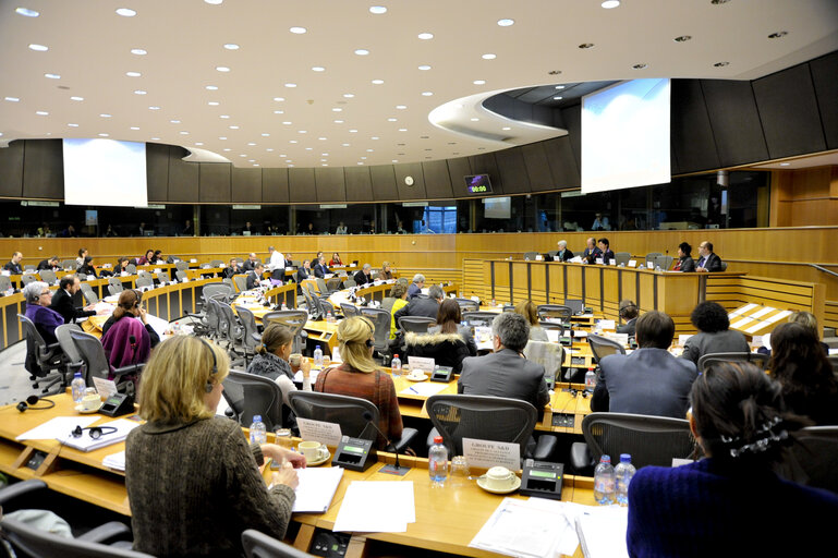 Foto 3: DROI Committee constituent meeting.