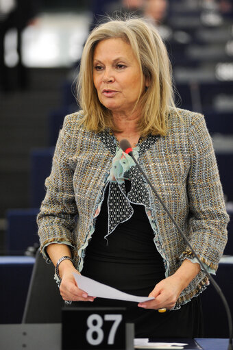 Fotografi 6: Danish Presidency. Plenary session in Strasbourg week 3 - 2012