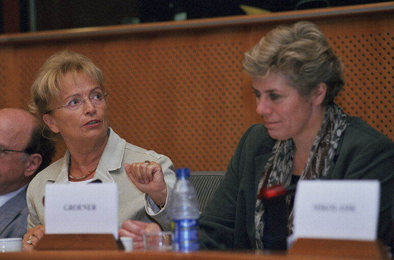 Fotografi 4: Doris PACK in a meeting at the EP in Brussels.