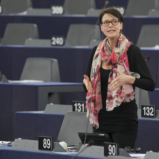 Foto 2: Plenary Session in Strasbourg - Week 11 - 2012