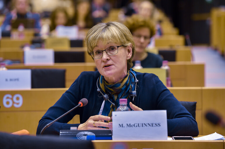 Fotografija 19: Committee on Agriculture  and Rural Development . Hearing on the ' Implemantation of young farmers' policies after the 2013 CAP reform '