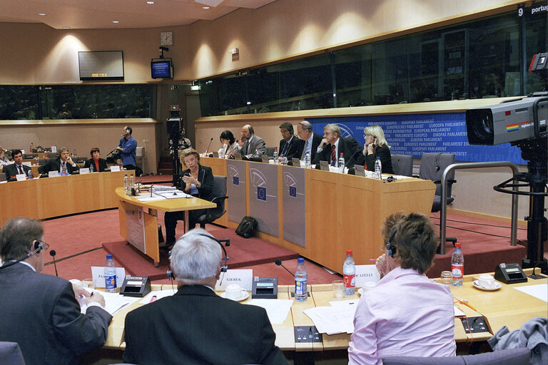 Fotografija 1: Hearing of the Commissioner Designate for media and information society.