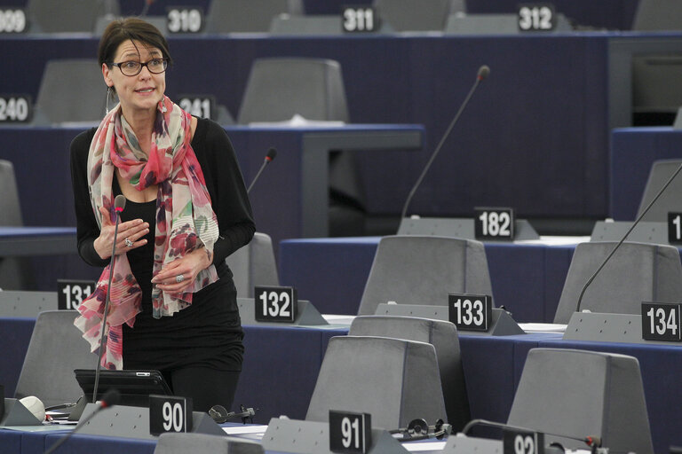 Foto 1: Plenary Session in Strasbourg - Week 11 - 2012